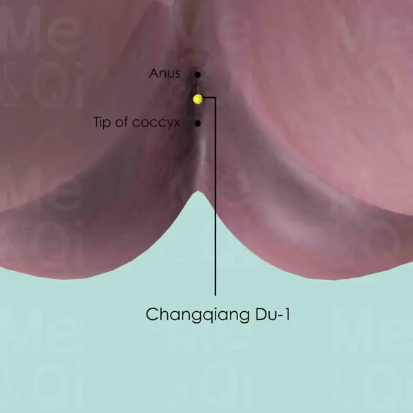Changqiang Du-1 location