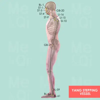Yang Stepping Vessel pathway
