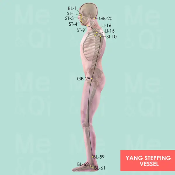 Yang Stepping Vessel pathway diagram