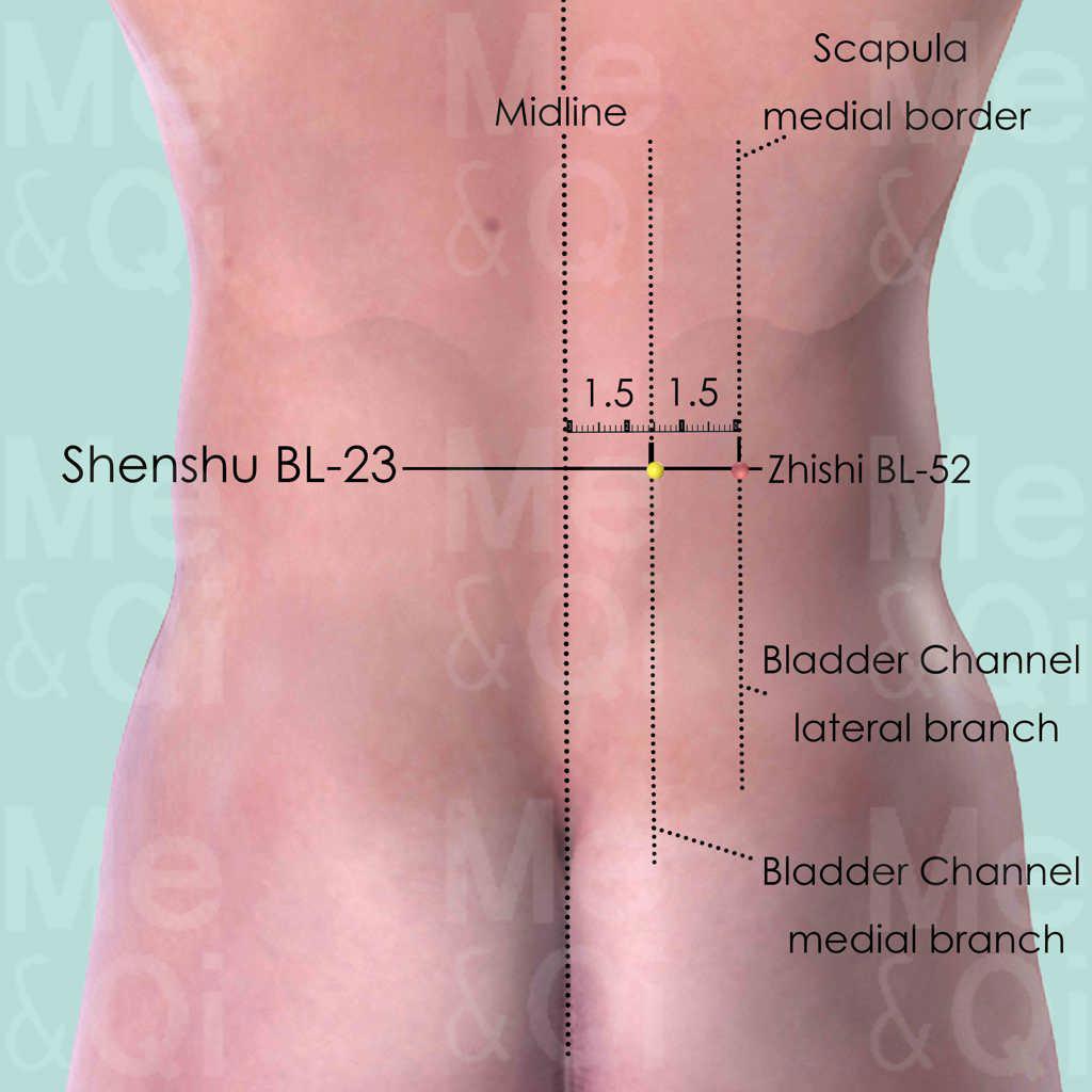 Shenshu BL-23 location