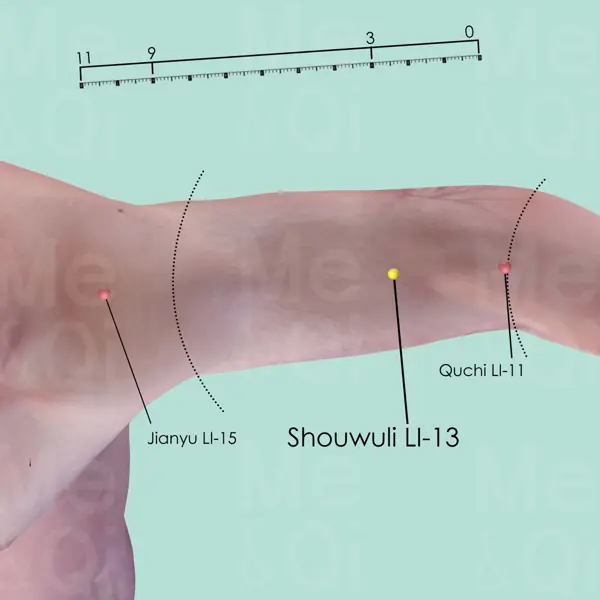 Shouwuli LI-13 location