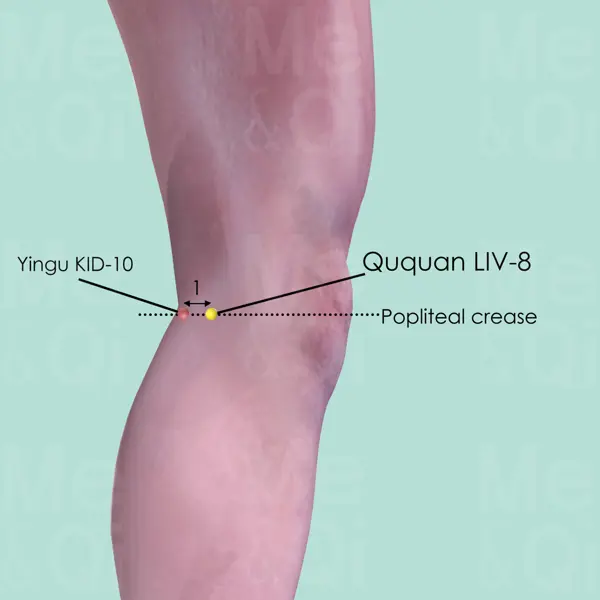 Ququan LR-8 location