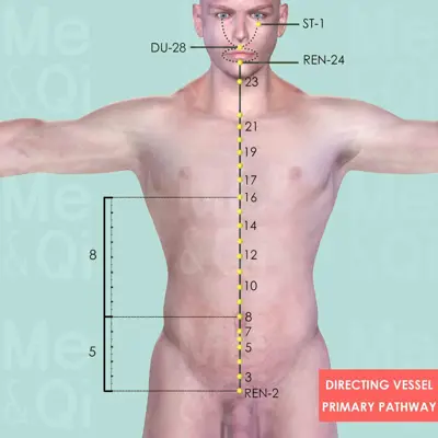 Directing Vessel Primary pathway pathway
