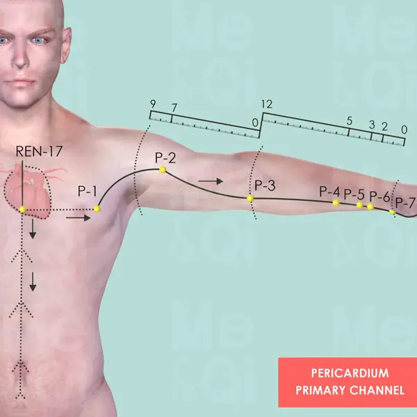 Pericardium Meridian pathway diagram