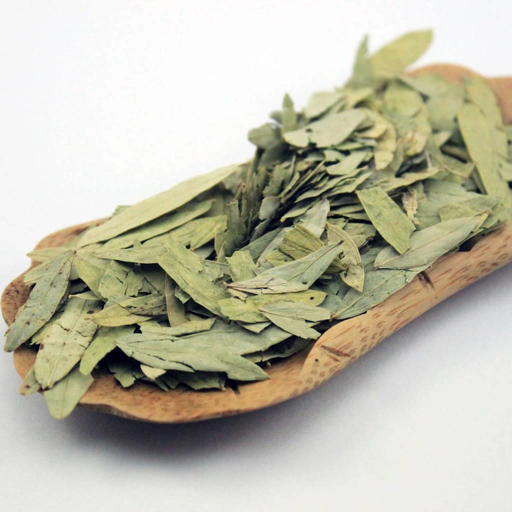Fan Xie Ye (Alexandrian senna leaves) as TCM ingredient